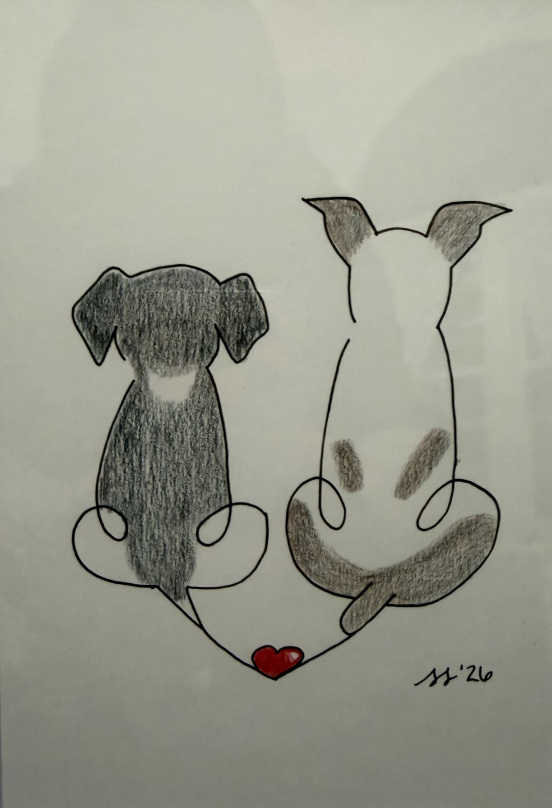 pencil drawing dog portrait